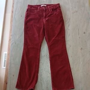Levi's Women's Burgundy Boot Cut Pants